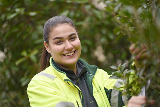 Gärtner Gartenunterhalt gesucht